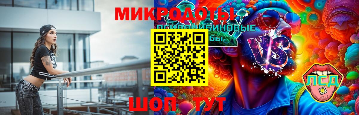 Кашира  Галлюциногенные грибы Magic Shrooms  Вход с VPN  Псилоцибиновые грибы прущие грибы 