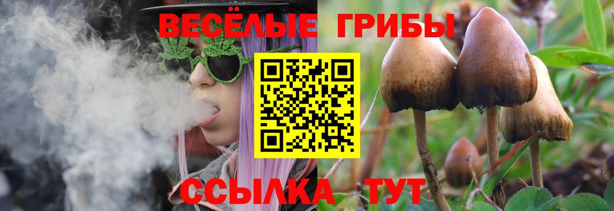 Псилоцибиновые грибы мухоморы Кашира